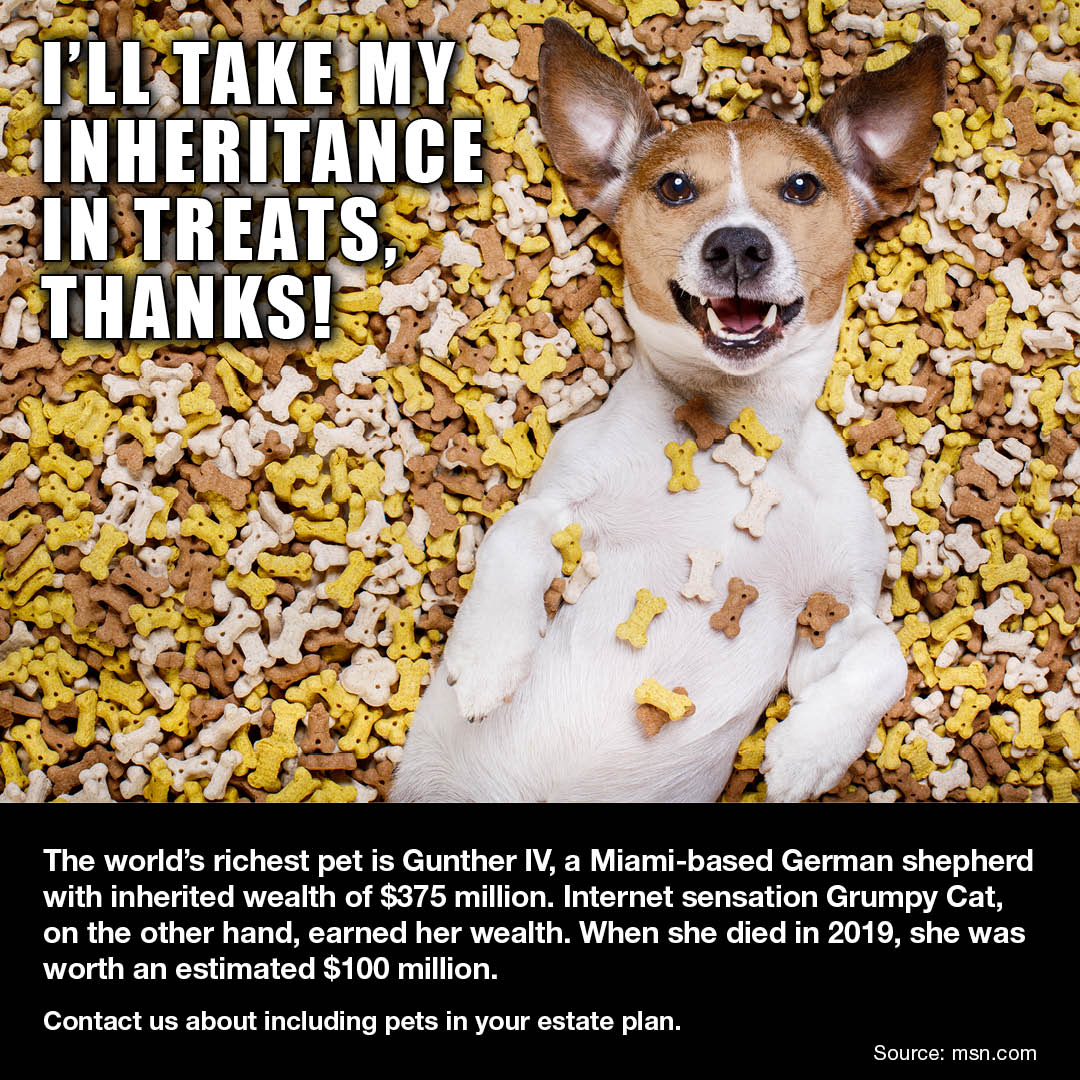 2021 - 05/13 - The World’s Richest Pets - EG Conley Blog